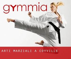 Arti marziali a Coyville