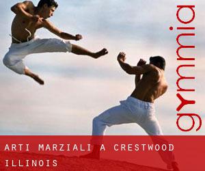 Arti marziali a Crestwood (Illinois)