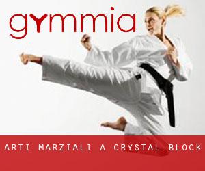 Arti marziali a Crystal Block
