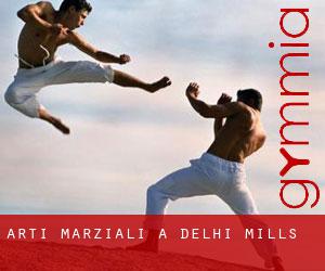 Arti marziali a Delhi Mills