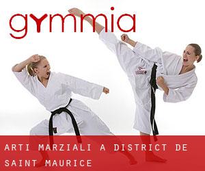 Arti marziali a District de Saint-Maurice