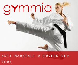 Arti marziali a Dryden (New York)