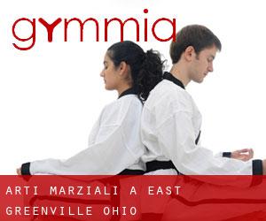 Arti marziali a East Greenville (Ohio)