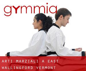 Arti marziali a East Wallingford (Vermont)