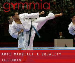 Arti marziali a Equality (Illinois)