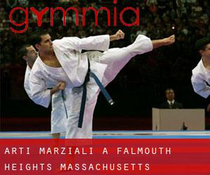 Arti marziali a Falmouth Heights (Massachusetts)