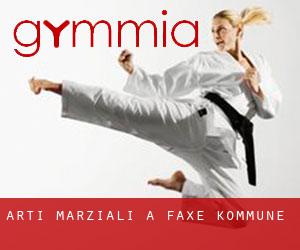 Arti marziali a Faxe Kommune