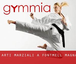 Arti marziali a Fontmell Magna