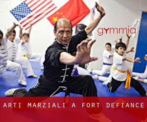 Arti marziali a Fort Defiance