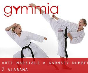 Arti marziali a Garnsey Number 2 (Alabama)