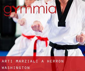 Arti marziali a Herron (Washington)