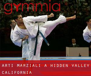 Arti marziali a Hidden Valley (California)