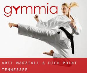 Arti marziali a High Point (Tennessee)