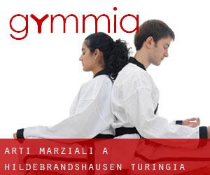 Arti marziali a Hildebrandshausen (Turingia)