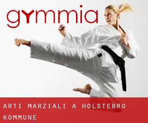 Arti marziali a Holstebro Kommune Arti marziali a Holstebro Kommune