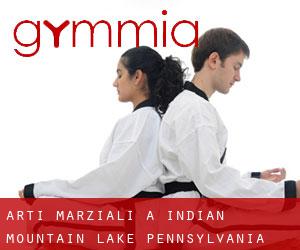 Arti marziali a Indian Mountain Lake (Pennsylvania)