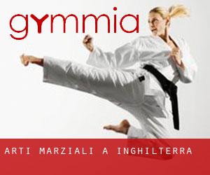 Arti marziali a Inghilterra Arti marziali a Inghilterra