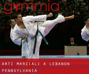 Arti marziali a Lebanon (Pennsylvania)