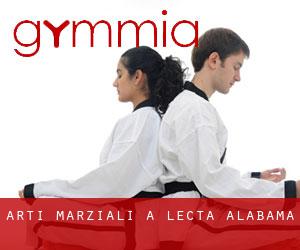 Arti marziali a Lecta (Alabama)