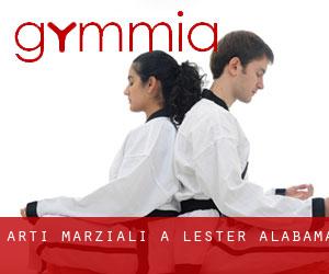 Arti marziali a Lester (Alabama)