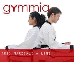 Arti marziali a Linz Arti marziali a Linz