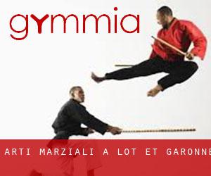Arti marziali a Lot-et-Garonne