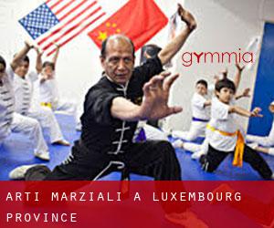 Arti marziali a Luxembourg Province
