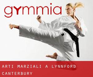 Arti marziali a Lynnford (Canterbury)