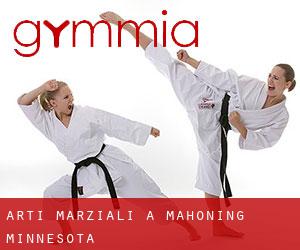 Arti marziali a Mahoning (Minnesota)