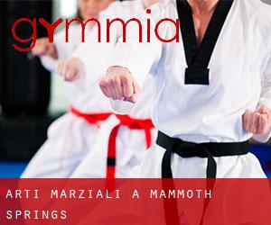 Arti marziali a Mammoth Springs