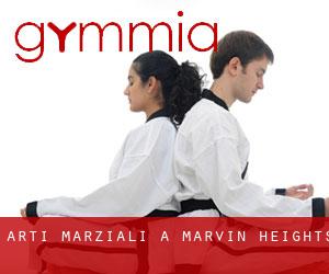 Arti marziali a Marvin Heights