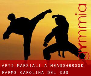 Arti marziali a Meadowbrook Farms (Carolina del Sud)