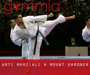 Arti marziali a Mount Gardner