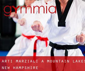 Arti marziali a Mountain Lakes (New Hampshire)