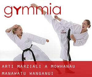 Arti marziali a Mowhanau (Manawatu-Wanganui)