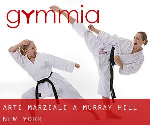 Arti marziali a Murray Hill (New York)