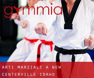 Arti marziali a New Centerville (Idaho)