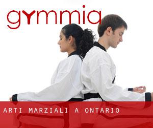 Arti marziali a Ontario