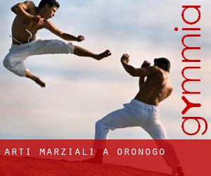 Arti marziali a Oronogo