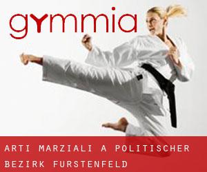 Arti marziali a Politischer Bezirk Fürstenfeld Arti marziali a Politischer Bezirk Fürstenfeld