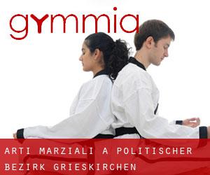 Arti marziali a Politischer Bezirk Grieskirchen Arti marziali a Politischer Bezirk Grieskirchen