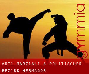 Arti marziali a Politischer Bezirk Hermagor Arti marziali a Politischer Bezirk Hermagor