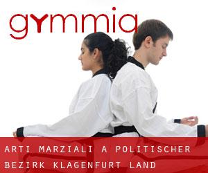 Arti marziali a Politischer Bezirk Klagenfurt Land