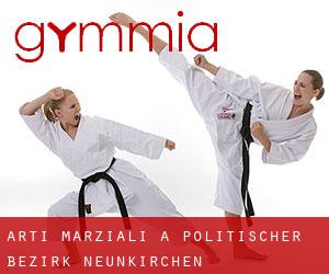 Arti marziali a Politischer Bezirk Neunkirchen Arti marziali a Politischer Bezirk Neunkirchen