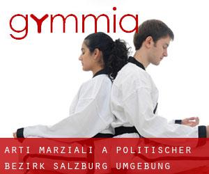 Arti marziali a Politischer Bezirk Salzburg Umgebung Arti marziali a Politischer Bezirk Salzburg Umgebung