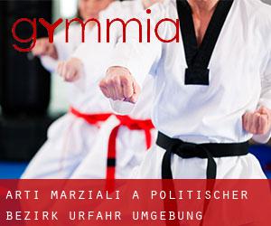 Arti marziali a Politischer Bezirk Urfahr Umgebung Arti marziali a Politischer Bezirk Urfahr Umgebung
