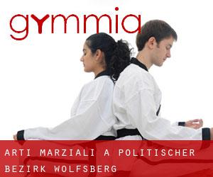 Arti marziali a Politischer Bezirk Wolfsberg Arti marziali a Politischer Bezirk Wolfsberg
