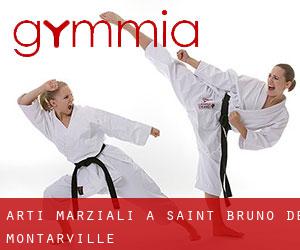 Arti marziali a Saint-Bruno-de-Montarville