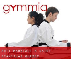 Arti marziali a Saint-Stanislas (Quebec)