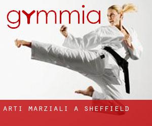 Arti marziali a Sheffield Arti marziali a Sheffield